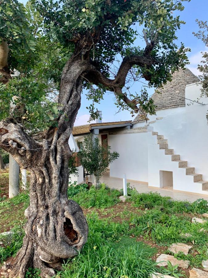 Trullo Labellavita Putignano Eksteriør billede