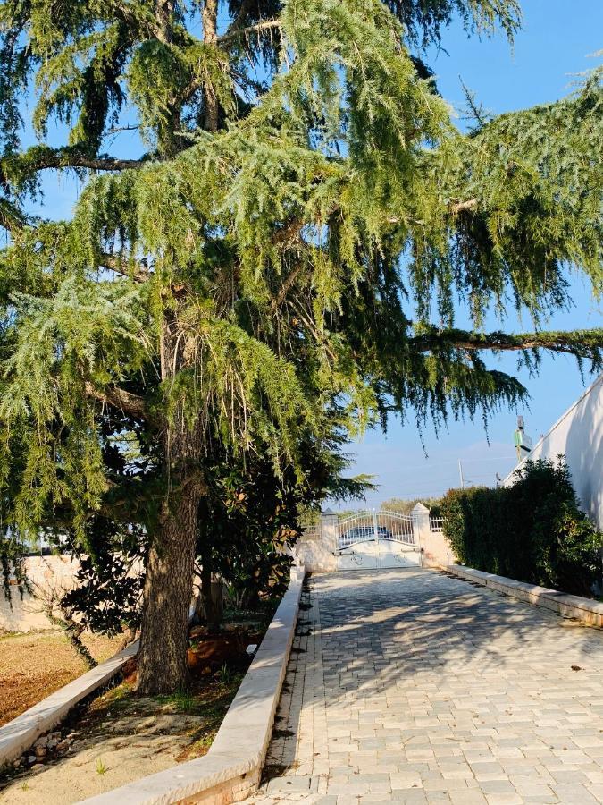 Trullo Labellavita Putignano Eksteriør billede
